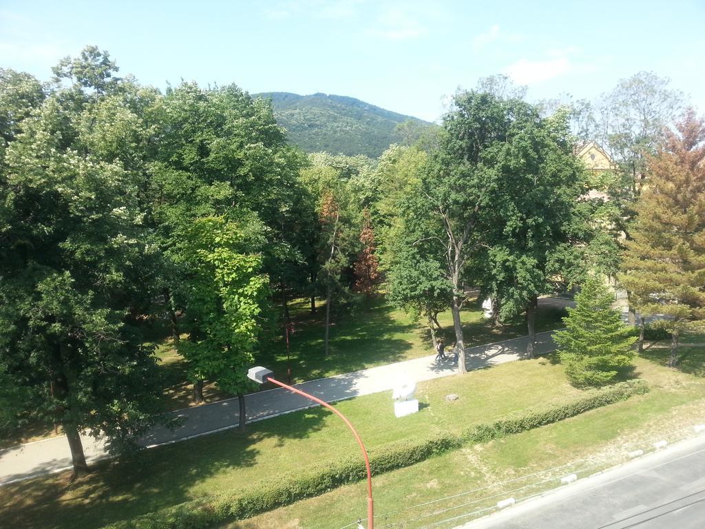 Park Srce Apartments Arandjelovac Room photo